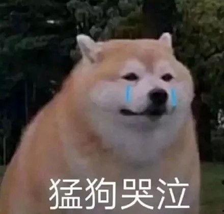 谁来拯救我的表情包,揭秘网络文化中的情感共鸣与传播现象