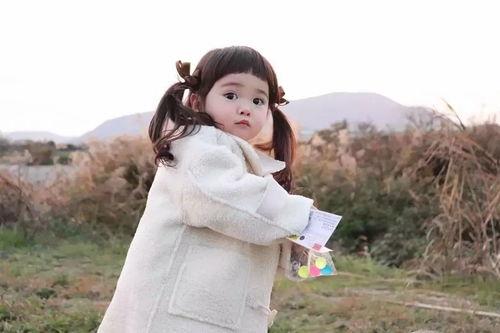 二萌网红,网络红人的魅力与影响力