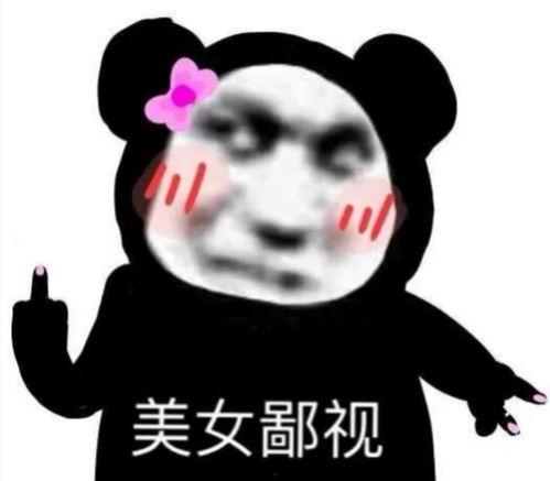 关注的表情包,笑破防!盘点那些让人捧腹大笑的爆款表情包