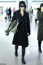 明星长手套,长手套下的明星风采